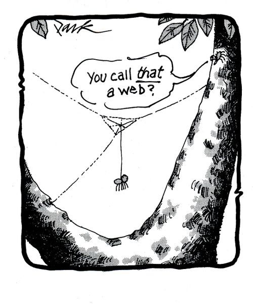 'You call that a web?'