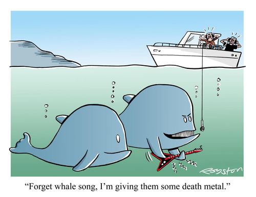 'Forget whale song, I'm giving them some death metal.'