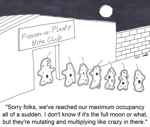 'Sorry folks, we've reached our maximum occupancy all of a sudden. I don't know if it's the full moon or what, but they're mutating and multiplying like crazy in there.'