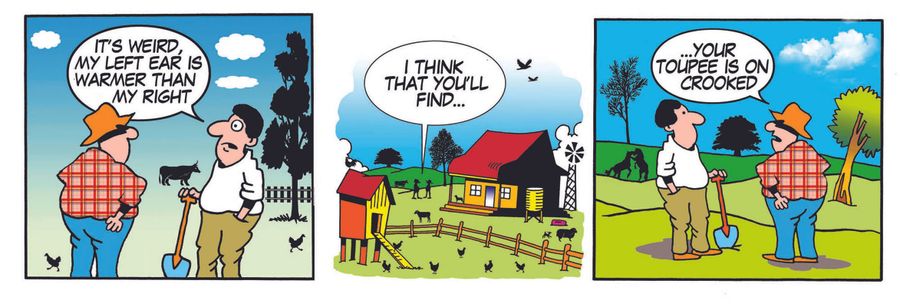 'I think that you'll find...your toupee is on crooked.'