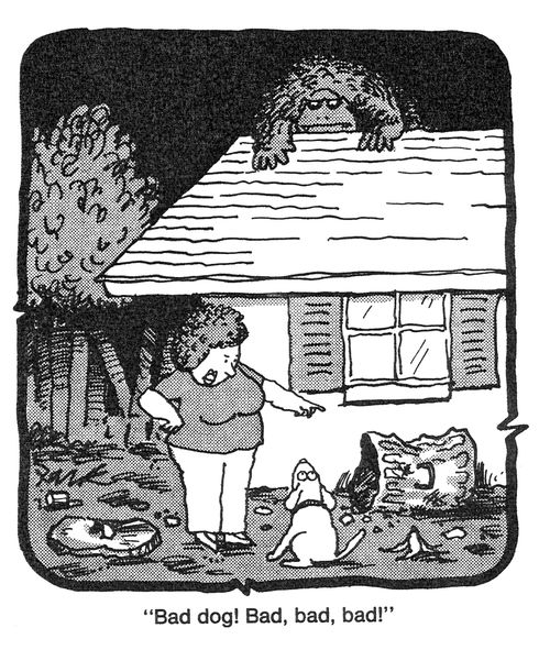 'Bad dog! Bad, bad dog!'