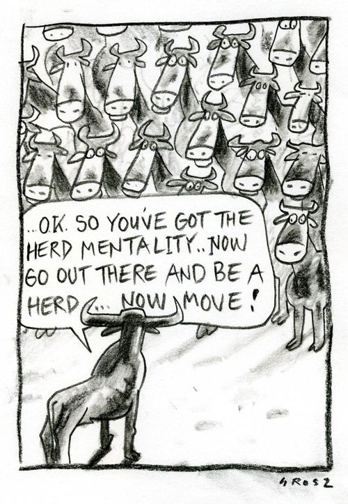 '...OK so you've got the herd mentality... now go out tere and be a herd... now move!'