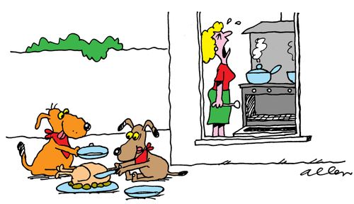 Two dogs eating Christmas dinner which they have taken from the oven.