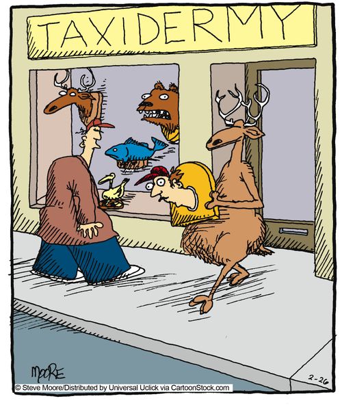Taxidermy.