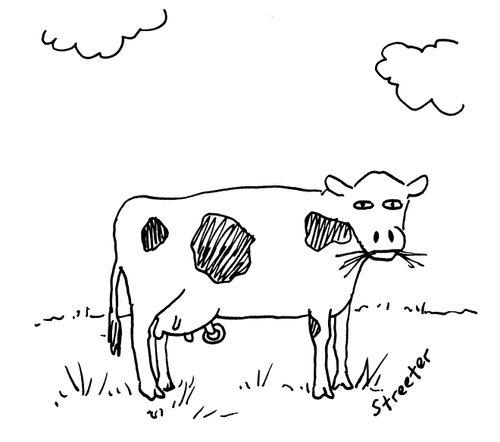 Cow Piercing.