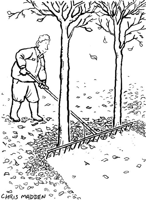 Leaf rake - wider than space