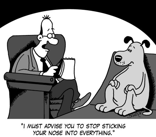 'I must advise you to stop sticking your nose into everything.'