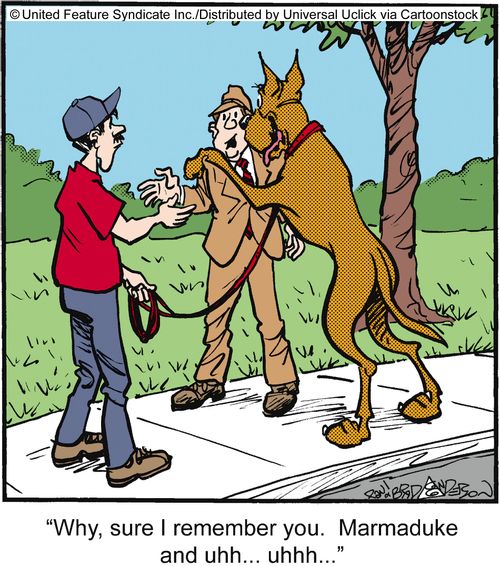'Why, sure I remember you. Marmaduke and uhh. . .uhhh. . .'