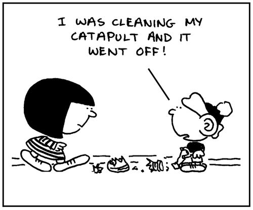 'I was cleaning my catapult and it went off.'