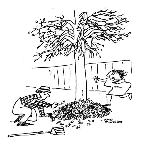 Leaf raker sets fire to tree - the source of his anguish.