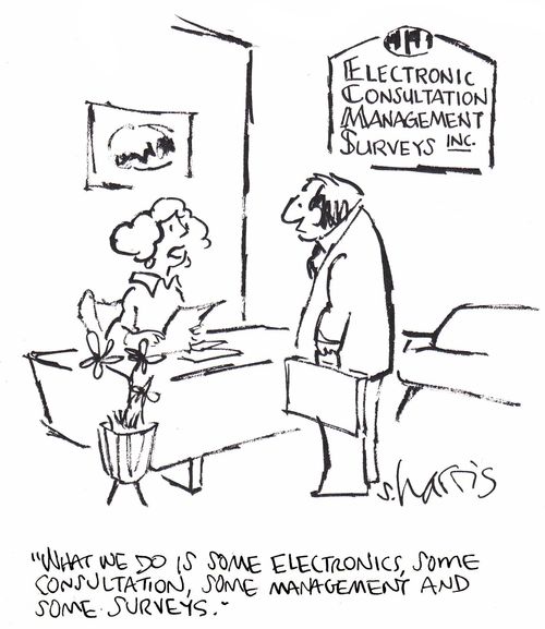 'What we do is some electronics, some consultation, some management and some surveys.'