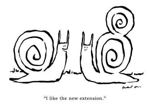 'I like the new extension.'