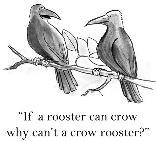 'If a rooster can crow why can't a crow rooster?'