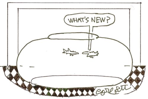 'What's new?'