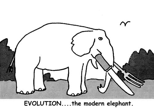 'Evolution....the modern elephant.'
