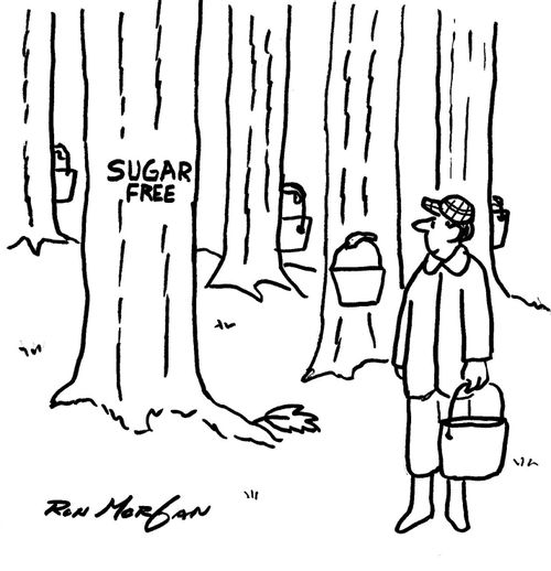 One of several sugar maple trees is labled sugar free.