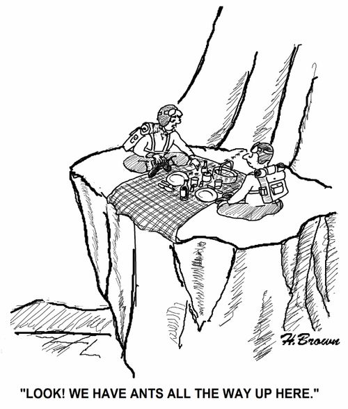 'Look! We have ants all the way up here.'
