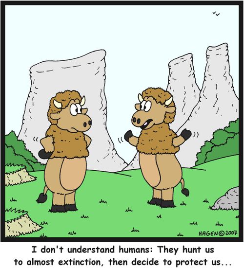 'I don't understand humans: They hunt us to almost extinction, then decide to protect us...'