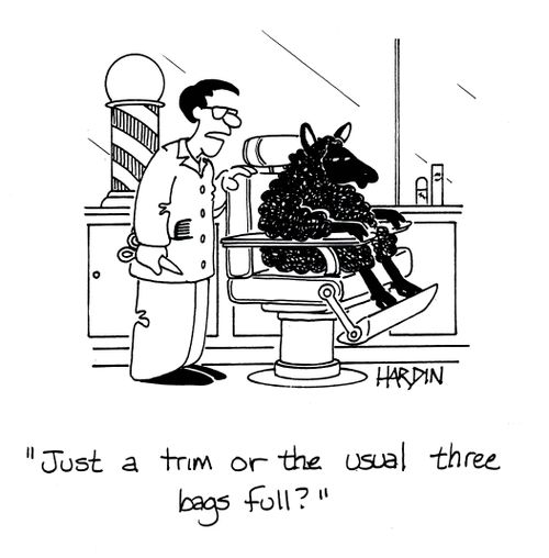 'Just a trim or the usual three bags full?'
