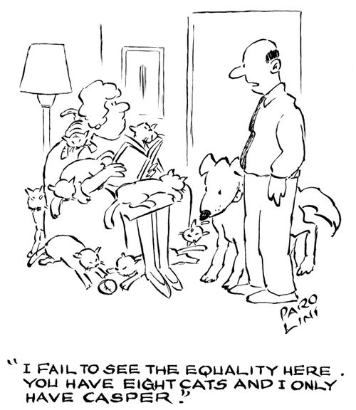 'I fail to see the equality here. You have eight cats and I only have Casper.'