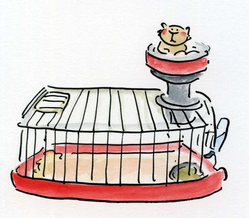 Hamster.