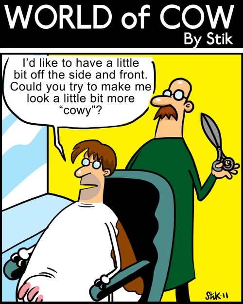 Could you make me look a little bit more 'cowy'?