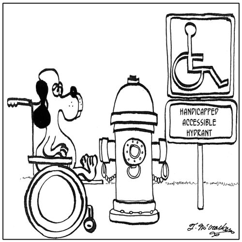 Handicapped Accessible Hydrant