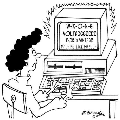 'W-R-O-N-G Voltagggeeee for a vintage machine like myself.'