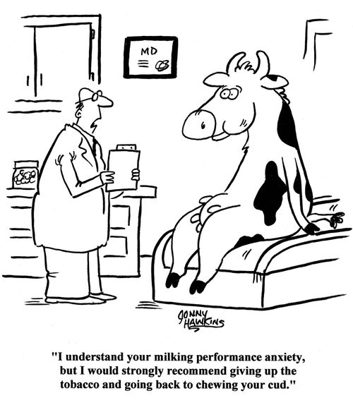 Doctor to cow: 'I understand your milking performance anxiety, but I would strongly recommend giving up the tobacco and going back to chewing your cud.'
