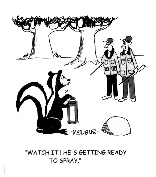 Skunk.'Watch it! He's getting ready to spray'