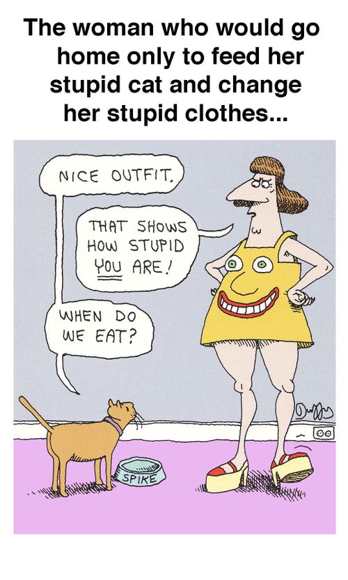 The woman who would go home only to feed her stupid cat and change her stupid clothes...