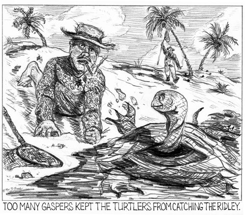 'Too many gaspers kept the turtlers from catching the ridley.'