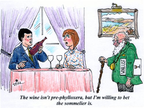 'The wine isn't pre-phylloxera, but I'm willing to bet the sommelier is.'