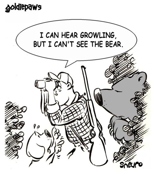 I can hear growling, but I can't see the bear.