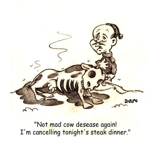 'Not mad cow disease again! I'm cancelling tonight's steak dinner.'
