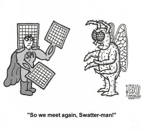 'So we meet again, Swatter-man!'