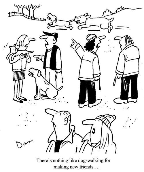 "There's nothing like dog-walking for making new friends...."