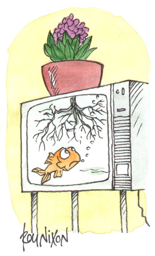 Goldfish in TV with Plant Roots Inside TV