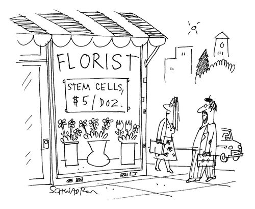 Florist selling Stem Cells