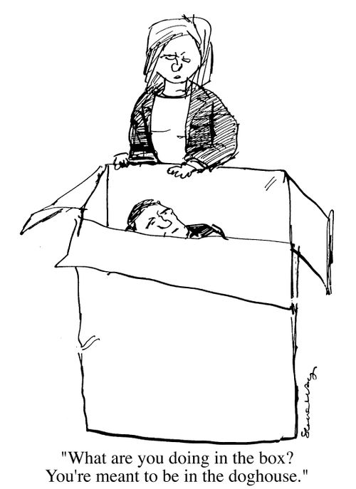 "What are you doing in the box? You're meant to be in the dog house"