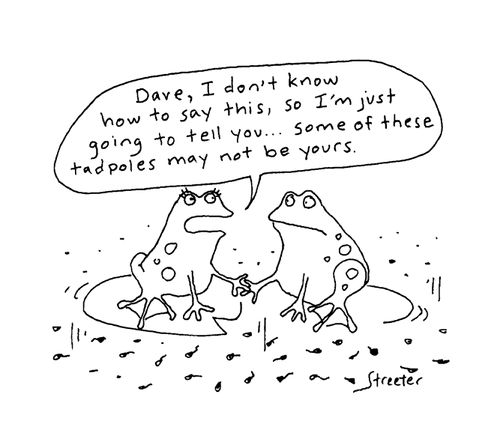 "...some of these tadpoles may not be yours."