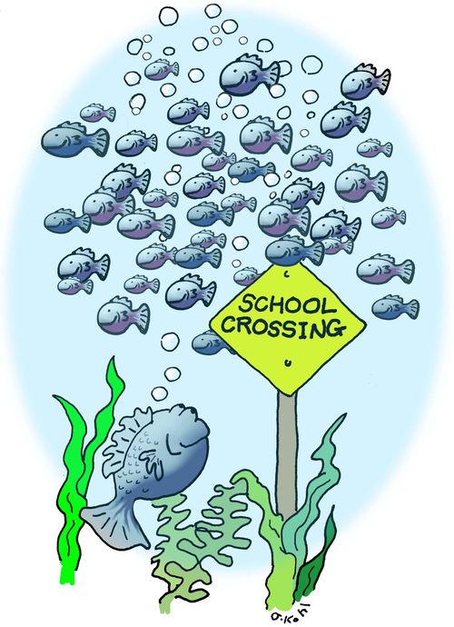 School Crossing.