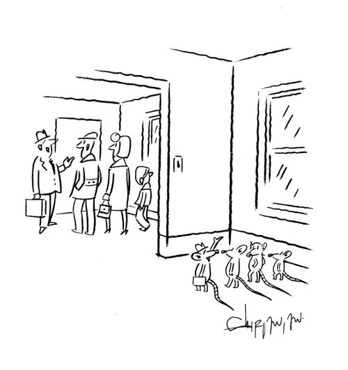 Visitors.