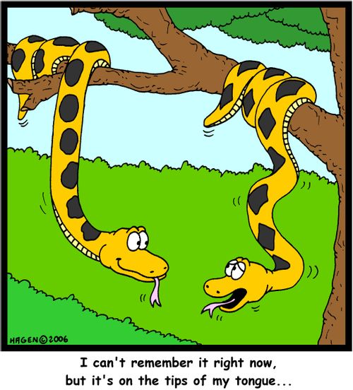 'I can't remember it right now, but it's on the tips of my tongue...'