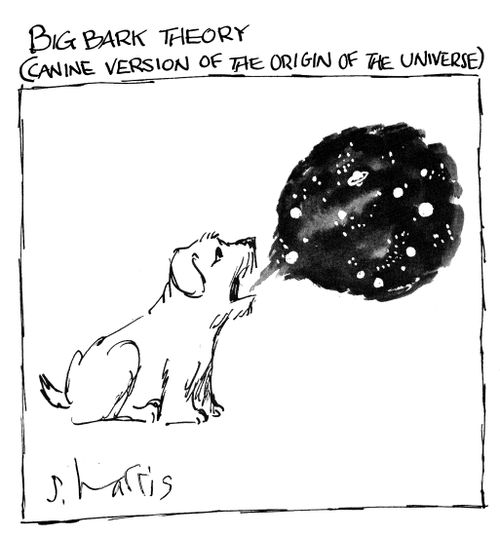 Big Bark Theory (canine version of the origin of the universe)