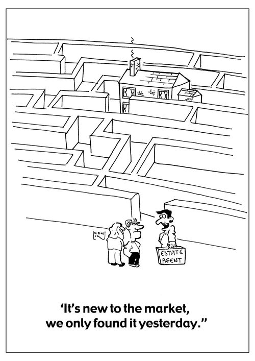 "It's new to the market, we only found it yesterday."