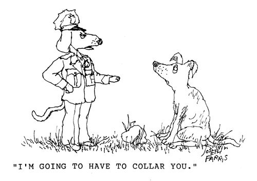 'I'm going to have to collar you.'