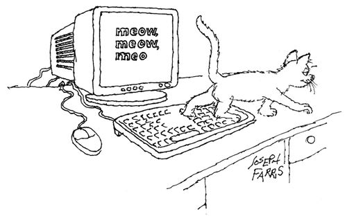 Cat typing 'Meow'.