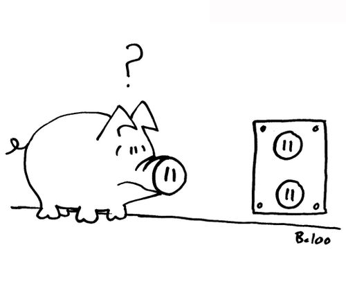 Pig looks at electrical outlet that resembles his nose.