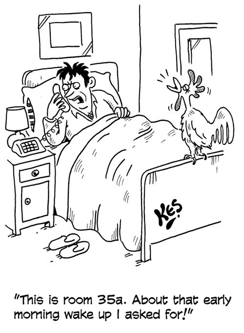 'This is room 35a. About that early morning wake up I asked for!'